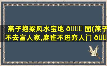 燕子抱梁风水宝地 🐛 图(燕子不去富人家,麻雀不进穷人门 💐 )